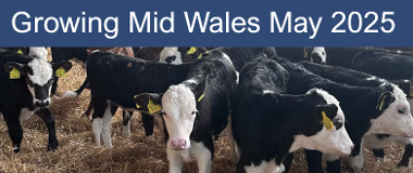 May newsletter cover 2025